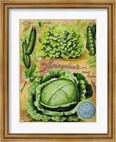 Antique Seed Packets XII Fine Art Print