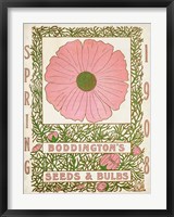 Antique Seed Packets XV Fine Art Print