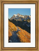 Mount Shuksan North Cascades Fine Art Print