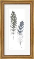 Feather Sketches VIII Blue Gray Fine Art Print