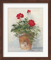 Potted Geraniums II Light Fine Art Print