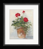 Potted Geraniums II Light Framed Print