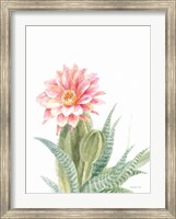 Pastel Desert II Fine Art Print