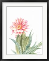 Pastel Desert II Fine Art Print