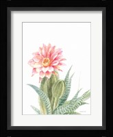 Pastel Desert II Framed Print