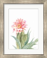 Pastel Desert II Fine Art Print