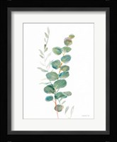 Greenery III Framed Print