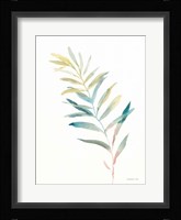 Greenery II Framed Print