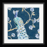 Peacock Allegory III Blue v2 Framed Print