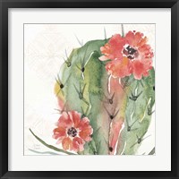 Sweet Southwest V Framed Print