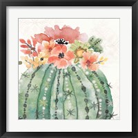 Sweet Southwest VI Framed Print