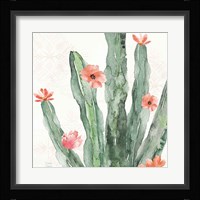 Sweet Southwest VII Framed Print