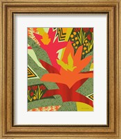 Bromeliad Fine Art Print