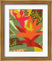 Bromeliad Fine Art Print