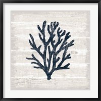 Driftwood Coast VII Blue Fine Art Print