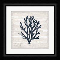 Driftwood Coast VII Blue Framed Print