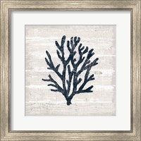 Driftwood Coast VII Blue Fine Art Print