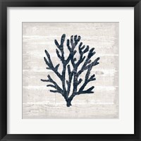 Driftwood Coast VII Blue Framed Print