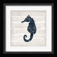 Driftwood Coast VI Blue Framed Print