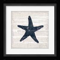 Driftwood Coast V Blue Framed Print