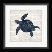 Driftwood Coast III Blue Framed Print