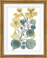 Antique Botanical XVII Cool Fine Art Print