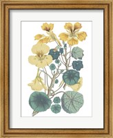 Antique Botanical XVII Cool Fine Art Print