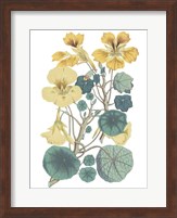 Antique Botanical XVII Cool Fine Art Print