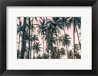 Palms View on Pink Sky I Fine Art Print