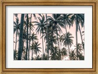 Palms View on Pink Sky I Fine Art Print