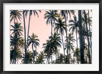 Palms View on Pink Sky II Fine Art Print