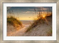Coastal Dunes Fine Art Print