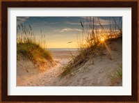 Coastal Dunes Fine Art Print