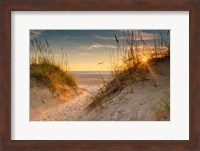 Coastal Dunes Fine Art Print