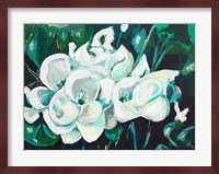 Green into White Orchids Fine Art Print