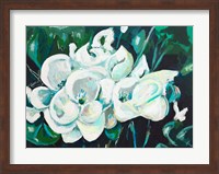 Green into White Orchids Fine Art Print