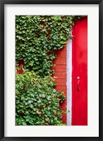 Red Garden Door Fine Art Print