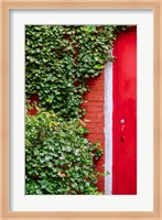 Red Garden Door Fine Art Print