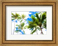 Hawaii Oahu Palms Fine Art Print