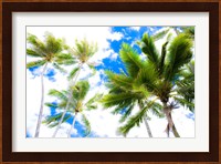 Hawaii Oahu Palms Fine Art Print