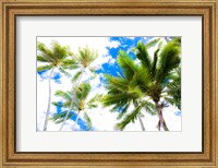 Hawaii Oahu Palms Fine Art Print