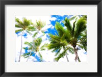 Hawaii Oahu Palms Fine Art Print