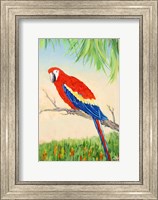 Tropic Bird in Paradise I Fine Art Print