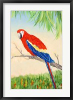 Tropic Bird in Paradise I Fine Art Print
