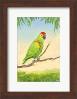 Tropic Bird in Paradise II Fine Art Print