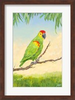Tropic Bird in Paradise II Fine Art Print