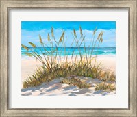 Beach Grass Fine Art Print
