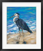 Beach Bird II Fine Art Print