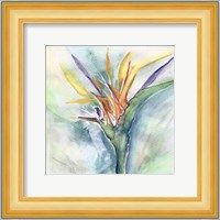 Bird of Paradise I Fine Art Print