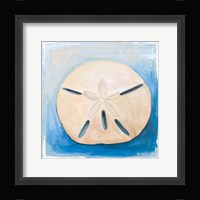 Sand Dollar on Blue Fine Art Print